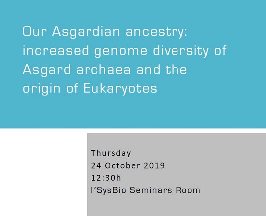 Our Asgardian ancestry: increased genome diversity of Asgard archaea and the origin of Eukaryotes